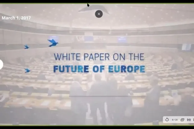 Videoconference still showing the words "White paper on the future of Europe" over a picture of the European Parliament.
